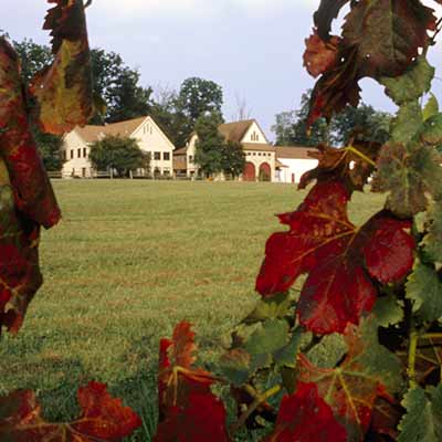 first colony winery